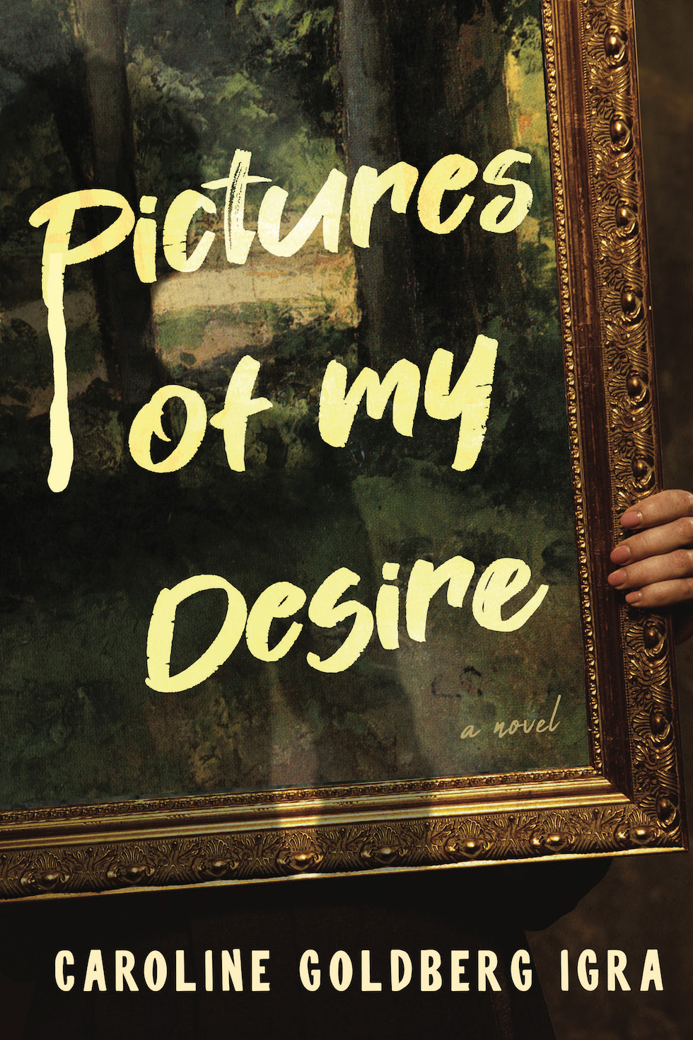 Pictures of My Desire cover